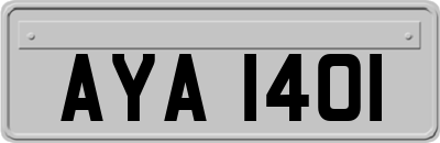 AYA1401