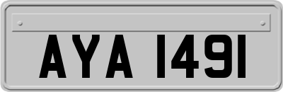 AYA1491