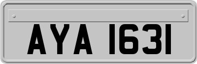 AYA1631