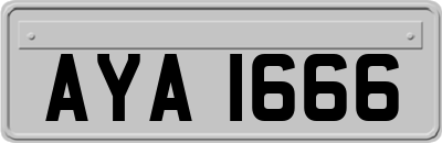 AYA1666