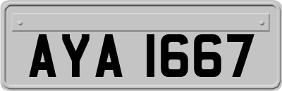AYA1667