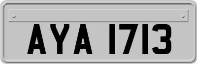AYA1713
