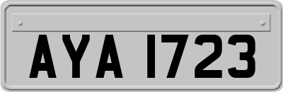 AYA1723