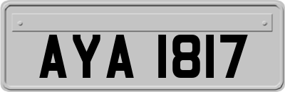 AYA1817
