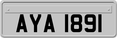 AYA1891