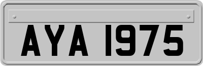 AYA1975