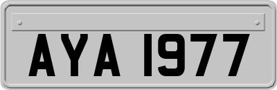 AYA1977