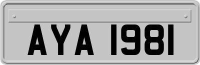 AYA1981