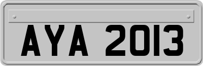 AYA2013