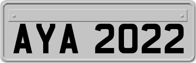 AYA2022