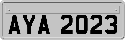 AYA2023