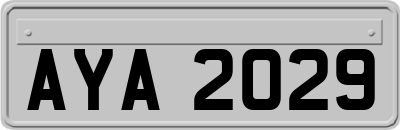 AYA2029