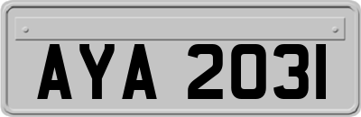 AYA2031