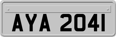 AYA2041