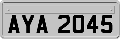 AYA2045