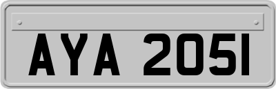 AYA2051