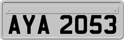 AYA2053