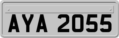 AYA2055