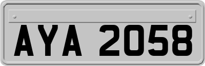 AYA2058