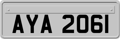 AYA2061