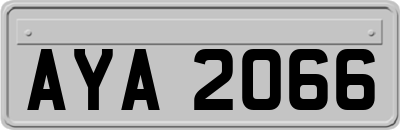 AYA2066