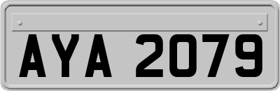 AYA2079