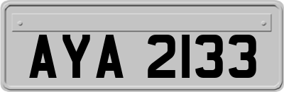 AYA2133