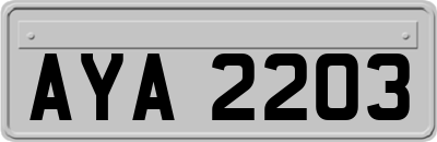 AYA2203