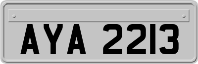 AYA2213