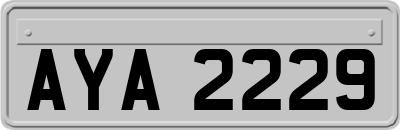 AYA2229