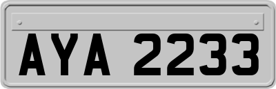 AYA2233