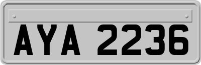 AYA2236