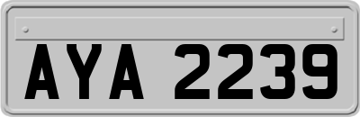 AYA2239