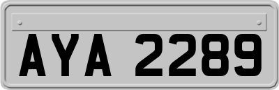 AYA2289