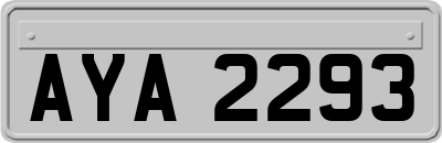 AYA2293