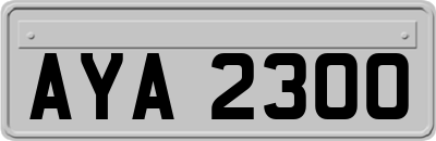 AYA2300