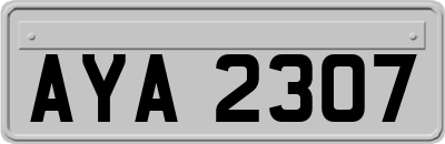 AYA2307
