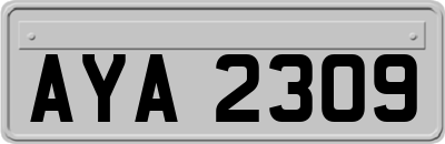 AYA2309