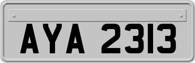 AYA2313