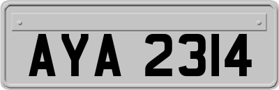 AYA2314