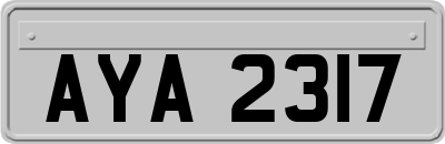 AYA2317