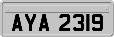 AYA2319