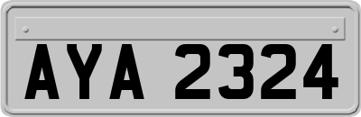 AYA2324