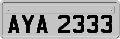 AYA2333