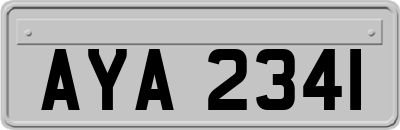 AYA2341