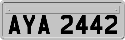 AYA2442