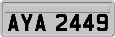 AYA2449