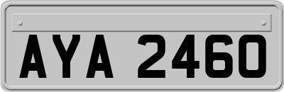 AYA2460