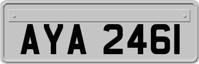 AYA2461