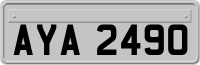 AYA2490